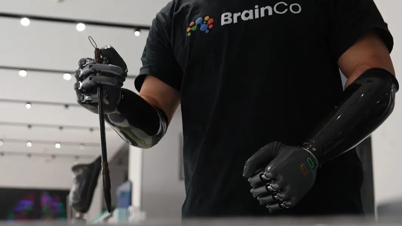 企业级搜索系统故障排查：关键步骤与策略**